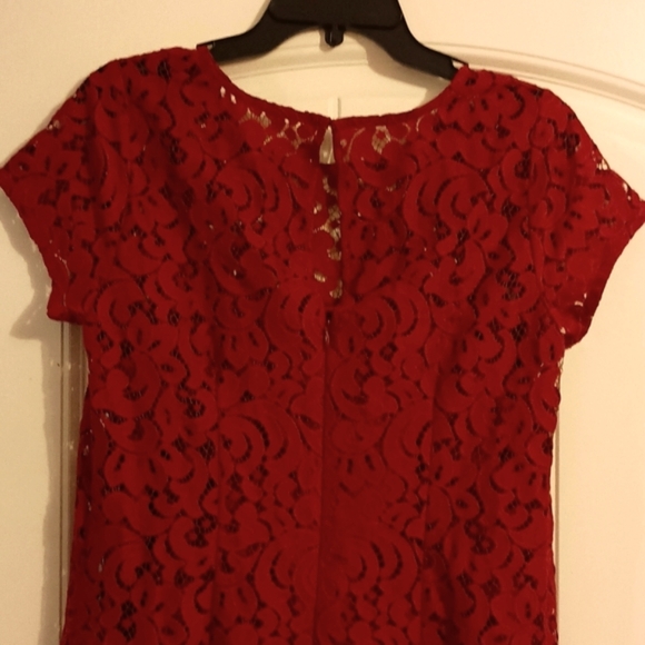 Loft Lace Dress - Picture 5 of 9